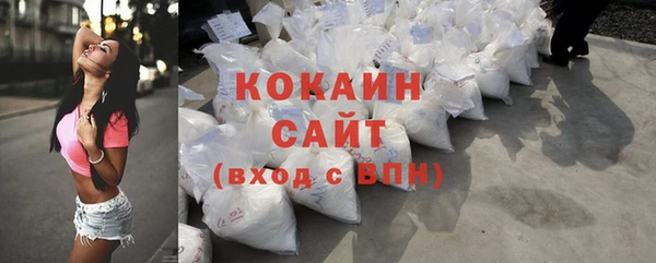дмт Нея