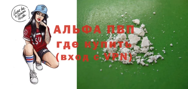 гашик Нефтекумск