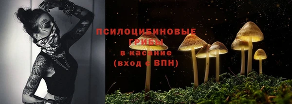 дмт Нея