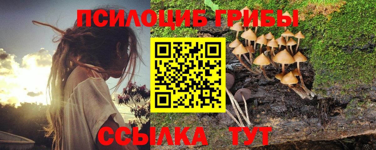 Псилоцибиновые грибы GOLDEN TEACHER Кропоткин
