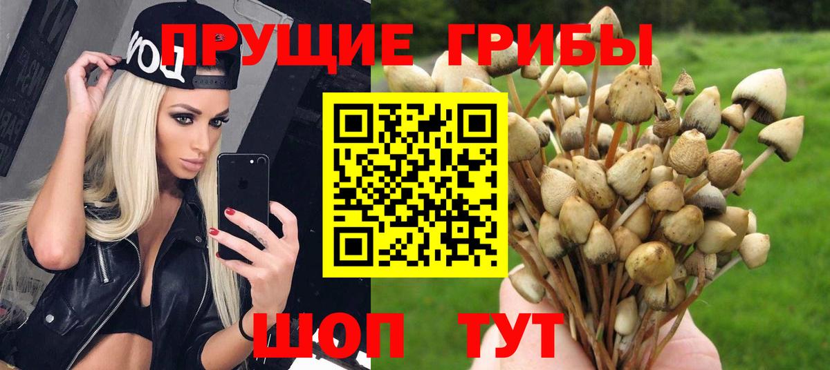 Галлюциногенные грибы Psilocybine cubensis  купить наркоту  Галлюциногенные грибы Psilocybine cubensis  Кропоткин  Вход с VPN 